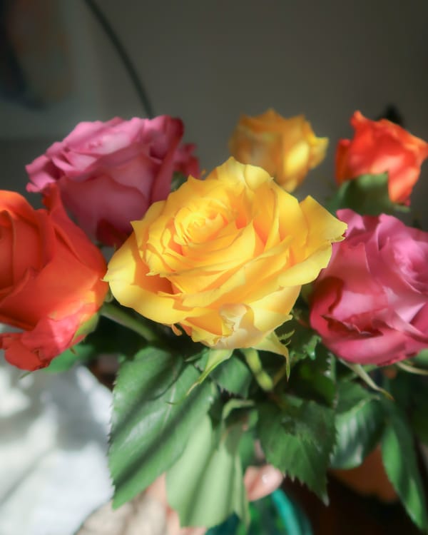 Sweet Creamy Sunshine